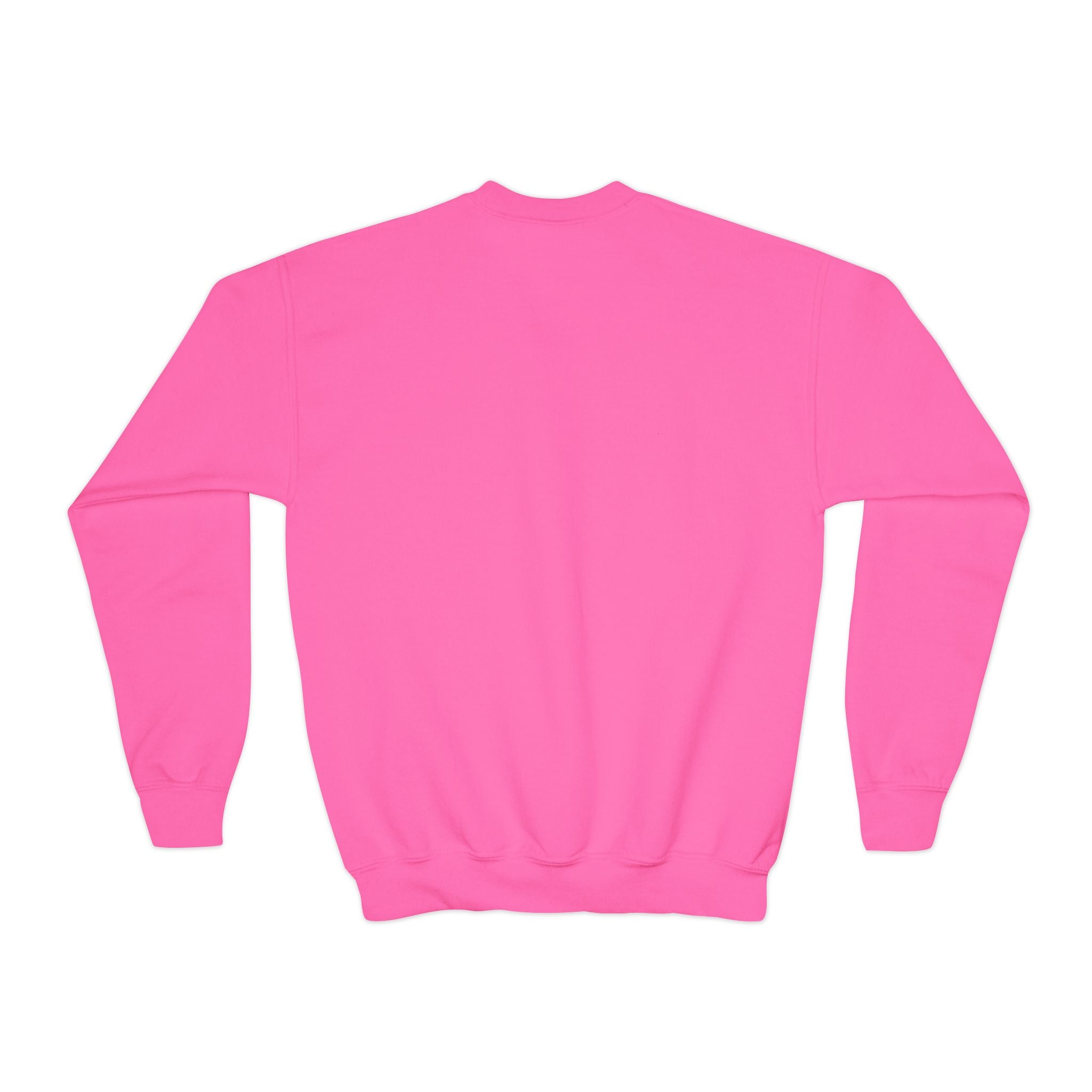 Youth Crewneck Sweatshirt — "Lil Chubbers" Graphic Pullover for Kids